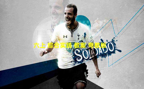 六上 综合实践 教案 粤教版